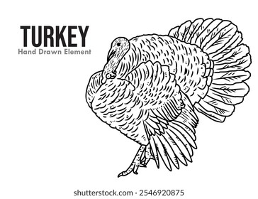 Vector turkey with black ink hand drawing. Turkey for thanksgiving celebration