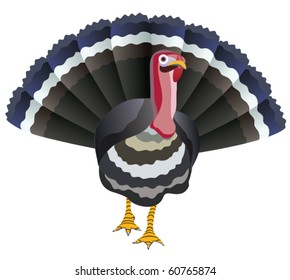 vector turkey for thanksgiving day