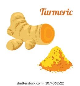 Vector turmeric isolated on white background. Illustration in flat style. Color image for template label, packing and emblem farmer market design.