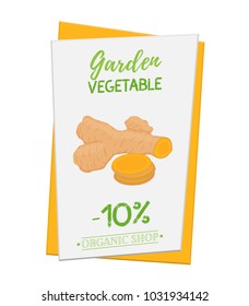 Vector turmeric poster, banner for discount, sale. Fresh vegetable. Garden organic plant in cartoon flat style. Vegetarian concept