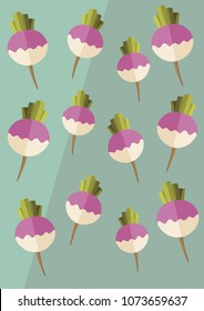 Vector turnip background