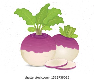 Vector Turnip Vegetable Illustration with turnip pieces and green leaves
