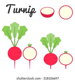 Vector turnip,flat design