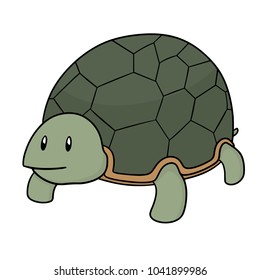 vector of turtle