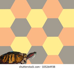 Vector - Turtle background.