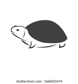 Vector of turtle.  Black design on a white background. Reptile. Animals. Sea creatures. illustration.