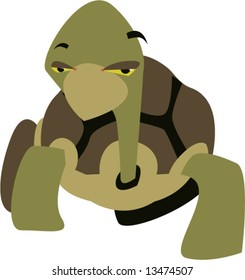vector turtle design: zoo series