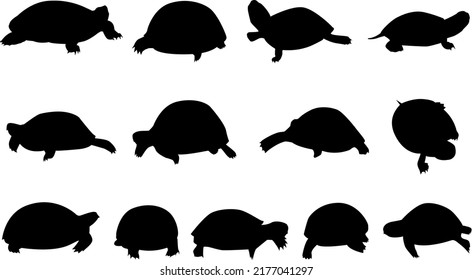 Vector turtle icons on isolated white background