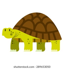 27,714 Tortoise Stock Vectors, Images & Vector Art | Shutterstock