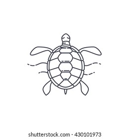  Vector turtle line icon isolated on white background