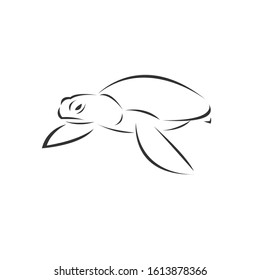 Vector of turtle on a white background, Animal. Pet. Easy editable layered  illustration. symbol. logo. icon