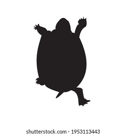 A vector of turtle on white background