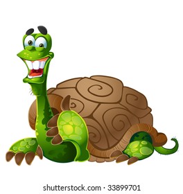  vector turtle on white background