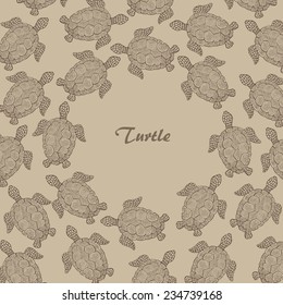 Vector turtle sketch
