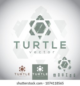 Vector Turtle Tortuga Geometric Hexagon Polygons Pixels Digital Abstract Logo Icon Brand Symbol Sign Shape Object Element Corporate Branding Professional Modern Business Tech