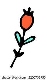 Vector Twig With Berries, Outline In Black With Turquoise Leaves And A Red Round Berry At The End, Hand-drawn Curved Twig In The Style Of Doodles