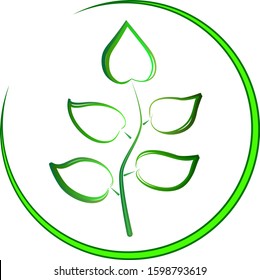 vector twig with green leaves in an open loop