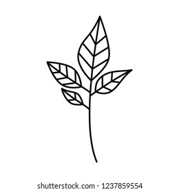 Vector Twig. Isolated Silhouette On White Background.