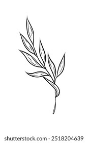 Vector twig with leaves. Hand drawn vector graphics, line art in doodle style. Single element. Botanical illustration, tattoo sketch, outline.