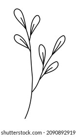 Vector twig with leaves in a minimalist style. Sprig isolated on white background. Floral elements. Hand-drawn botany. Vector elements for textile design and typography