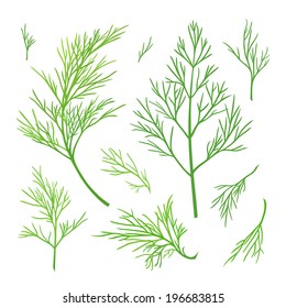 Vector Twigs Of Dill