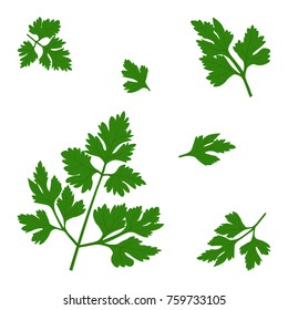 Vector Twigs Of Parsley