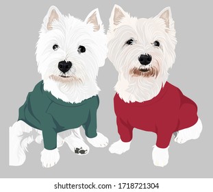 Vector twin cute white dog