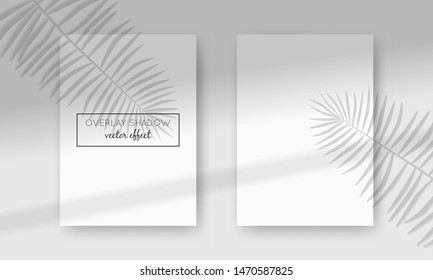Vector two A4 cards mockup with shadow overlays on top. Organic and window frame shadows for natural light effects. Photo-realistic illustration with palm leaves