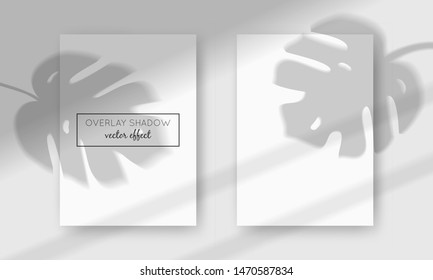 Vector two A4 cards mockup with shadow overlays on top. Organic and window frame shadows for natural light effects. Trendy photo-realistic illustration with monstera leaves