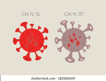 Vector two abstract corona virus, red color for high incubation cycle and the the low incubation level