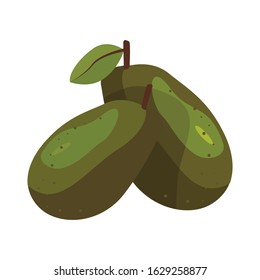 Vector of two avocado food icon. isolated on white background
