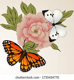 Vector of two butterflies on big peony