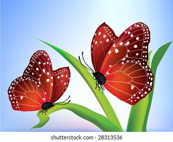 Vector two butterflies on the green leaves