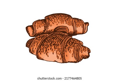Vector two color croissants  isolated on white, sweet rolls , graphical element for bakery logo and design