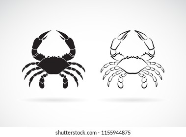 Vector of two crab on white background,. Animals. Crab Icon. Sea creature. Easy editable layered vector illustration.