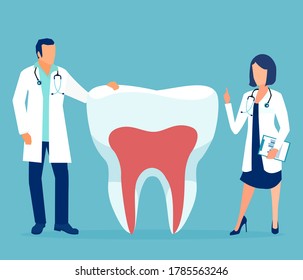 Vector Two Doctor Dentist Standing By Stock Vector (Royalty Free ...