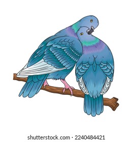 vector of two doves with big love