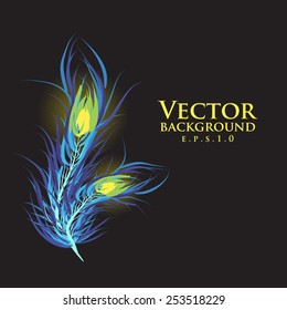 Vector two feathers peacock with black background. Fashionable design eps10.