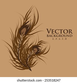 Vector two feathers peacock. Brown background. Fashionable design eps10.
