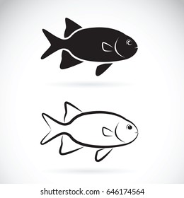 Vector of two fish on white background. Aquatic animals.