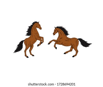 Vector two hand drawn doodle sketch bay brown horses set isolated on white background