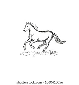 Vector two hand drawn doodle sketch horse isolated on white background