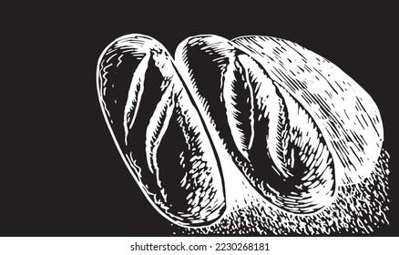 Vector two long loaves of bread isolated on black background, bakery design element,graphical illustration