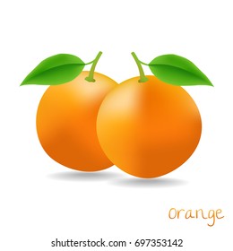 Vector two oranges with leaves on white background