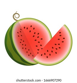 Vector two parts watermelon. Cute Vector illustration gradient fill isolated on white background, cartoon logo and icon. Concept of healthy lifestyle and ripe fruits
