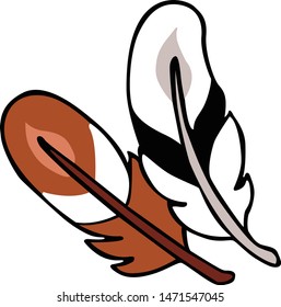 
Vector of two pieces of chicken feathers