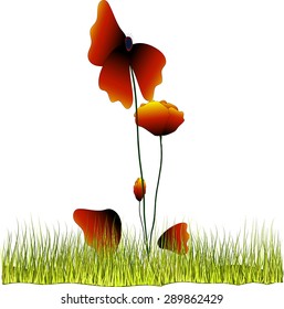 vector two red poppy petals falling