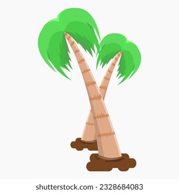 vector of two tall coconut trees and these trees have not yet produced fruit