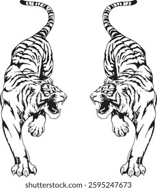 vector two tigers, color according to project needs, can be for films, cartoons, videos, animations, and others