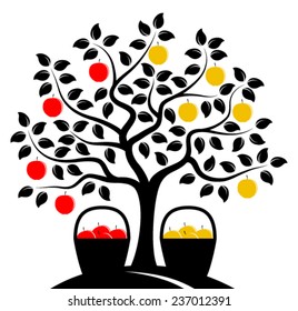 vector two varieties of apple on one tree isolated on white background